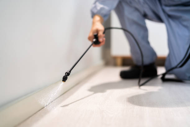 Bed Bug Pre-Treatment Preparation Assessment in Perry