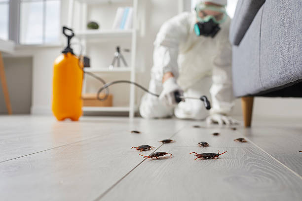 Post-Treatment Bed Bug Interceptor Monitoring in Perry