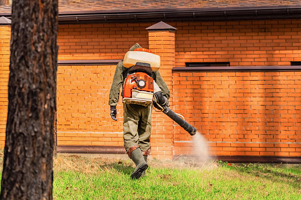 Bed Bug Clearance Verification and Documentation in Perry